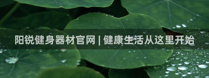意昂2娱乐