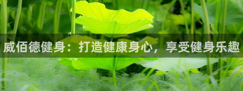 意昂2代理