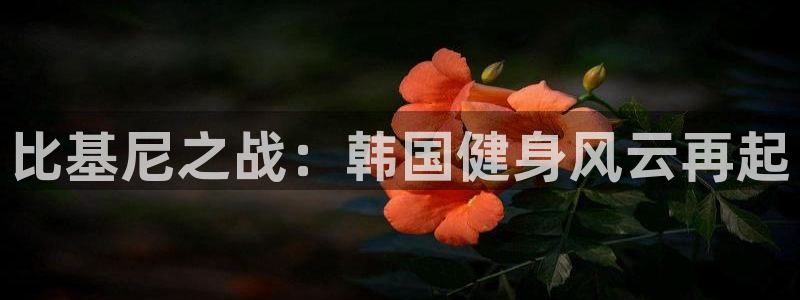 意昂2平台
