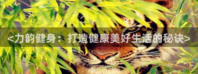 意昂2平台