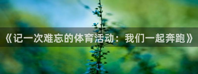 哈哈体育