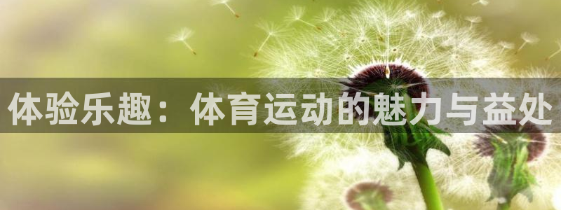 哈哈体育十年