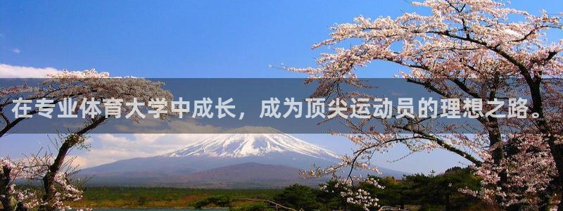 哈哈体育十年