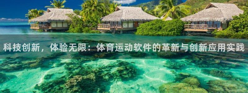 哈哈体育十年