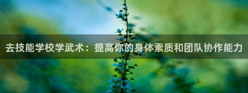 哈哈体育下载