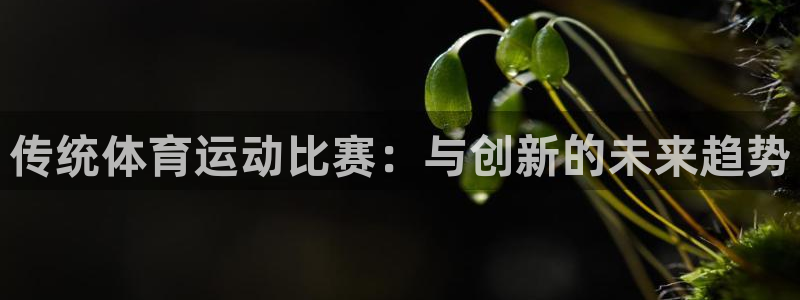 哈哈体育十年