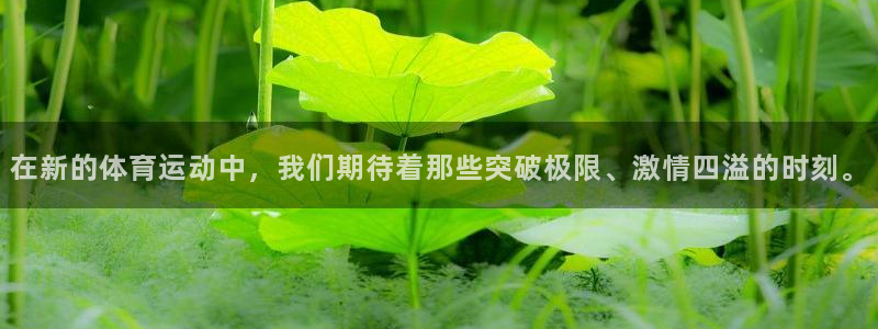 哈哈体育十年
