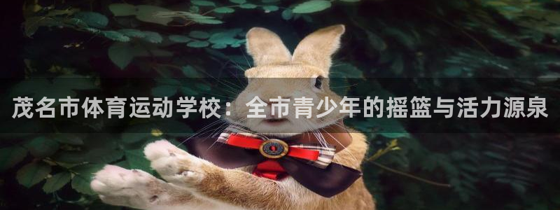 哈哈体育