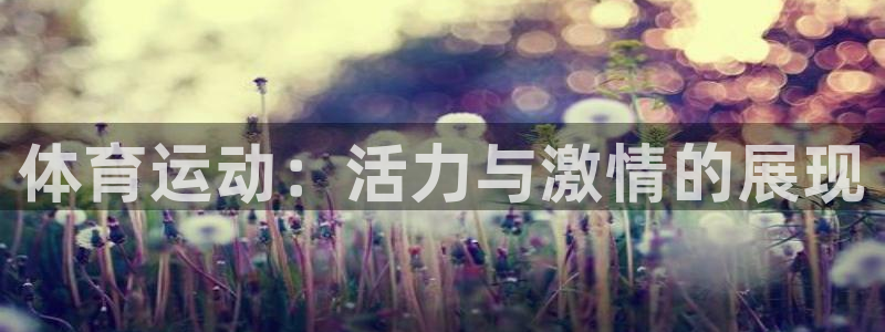 哈哈体育下载