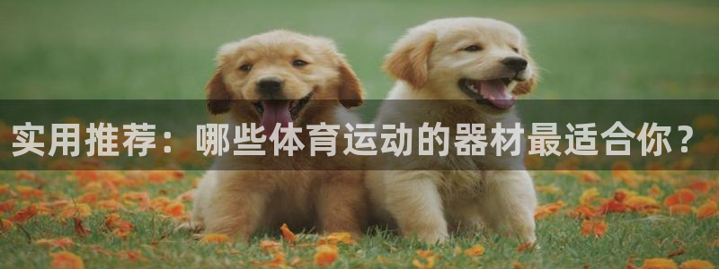 哈哈体育下载