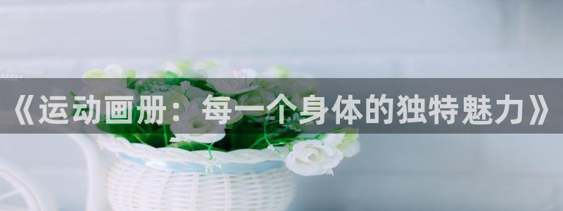 哈哈体育十年