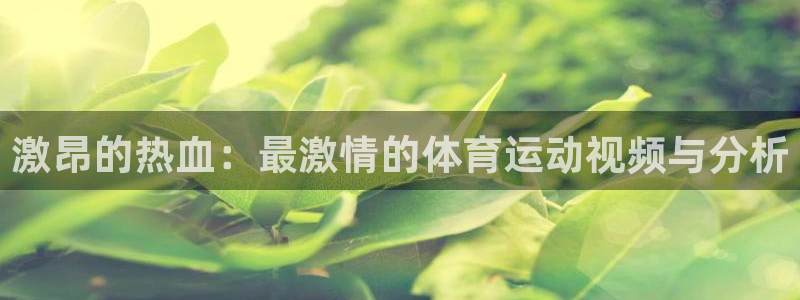哈哈体育