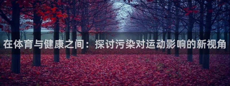 哈哈体育十年