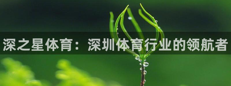 哈哈体育下载