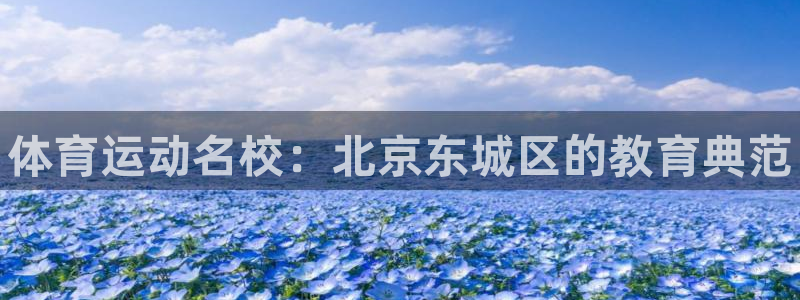 哈哈体育十年