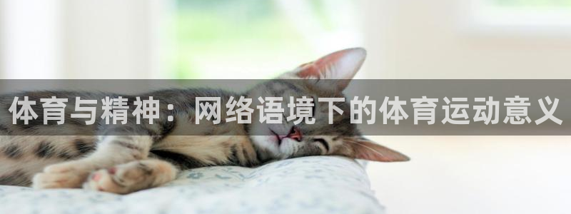 哈哈体育十年