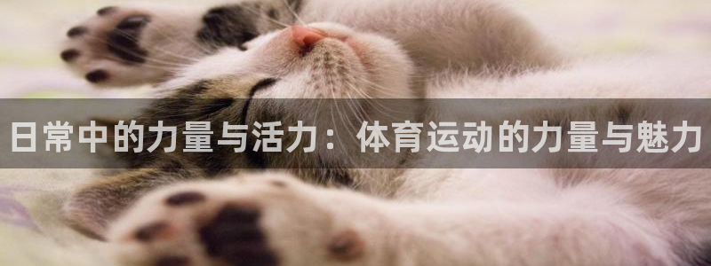 哈哈体育