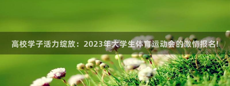 哈哈体育十年