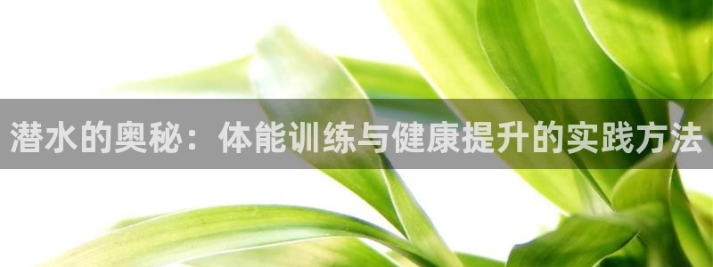 哈哈体育下载