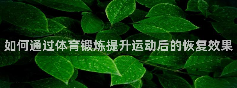 哈哈体育