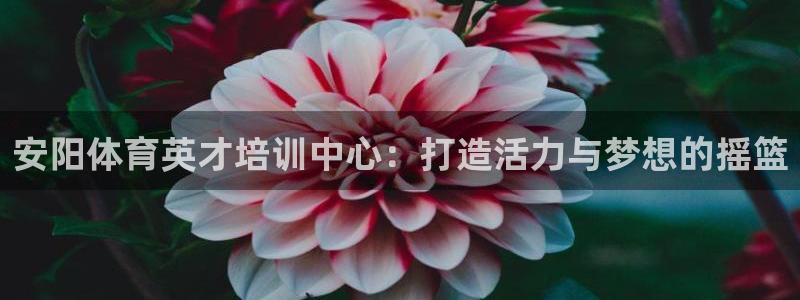哈哈体育十年