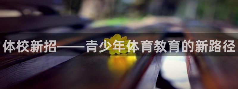 哈哈体育