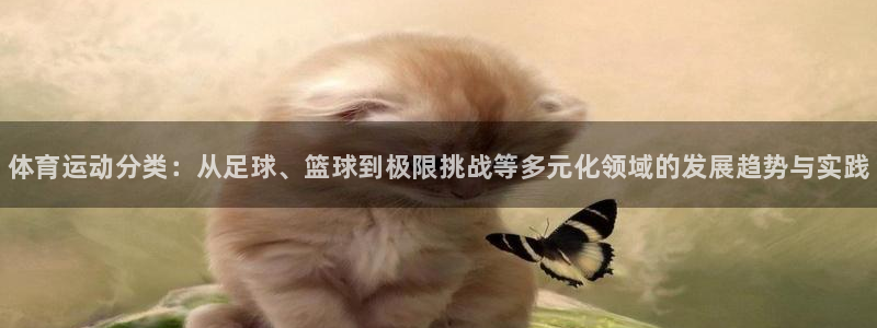 哈哈体育