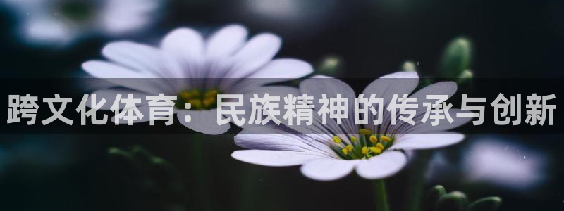 哈哈体育十年