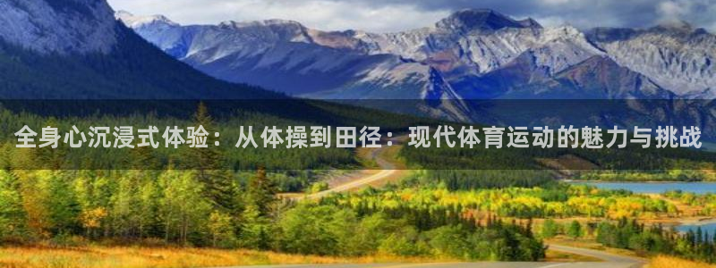哈哈体育十年