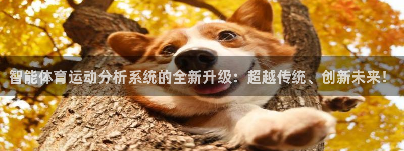 哈哈体育