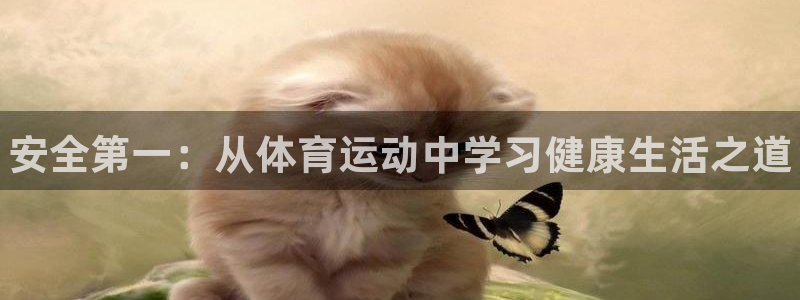 哈哈体育