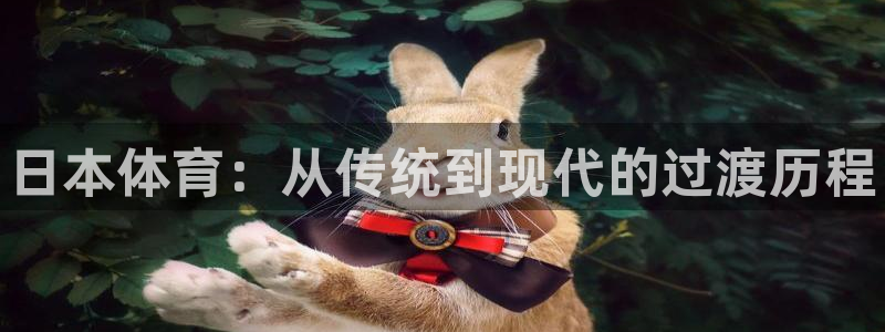 哈哈体育下载