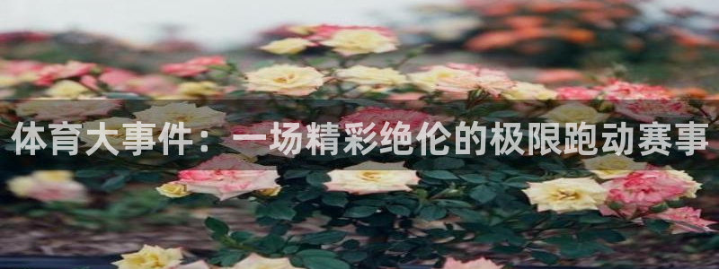 哈哈体育