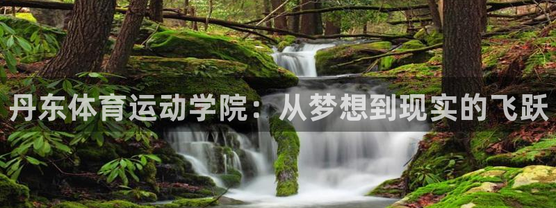 哈哈体育十年